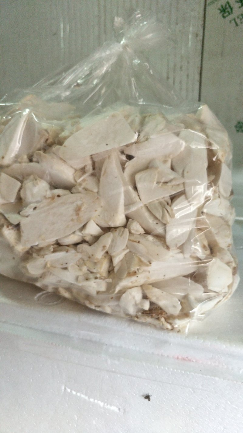 杏鲍菇片和杂菇，工厂化生产直发，常年有货