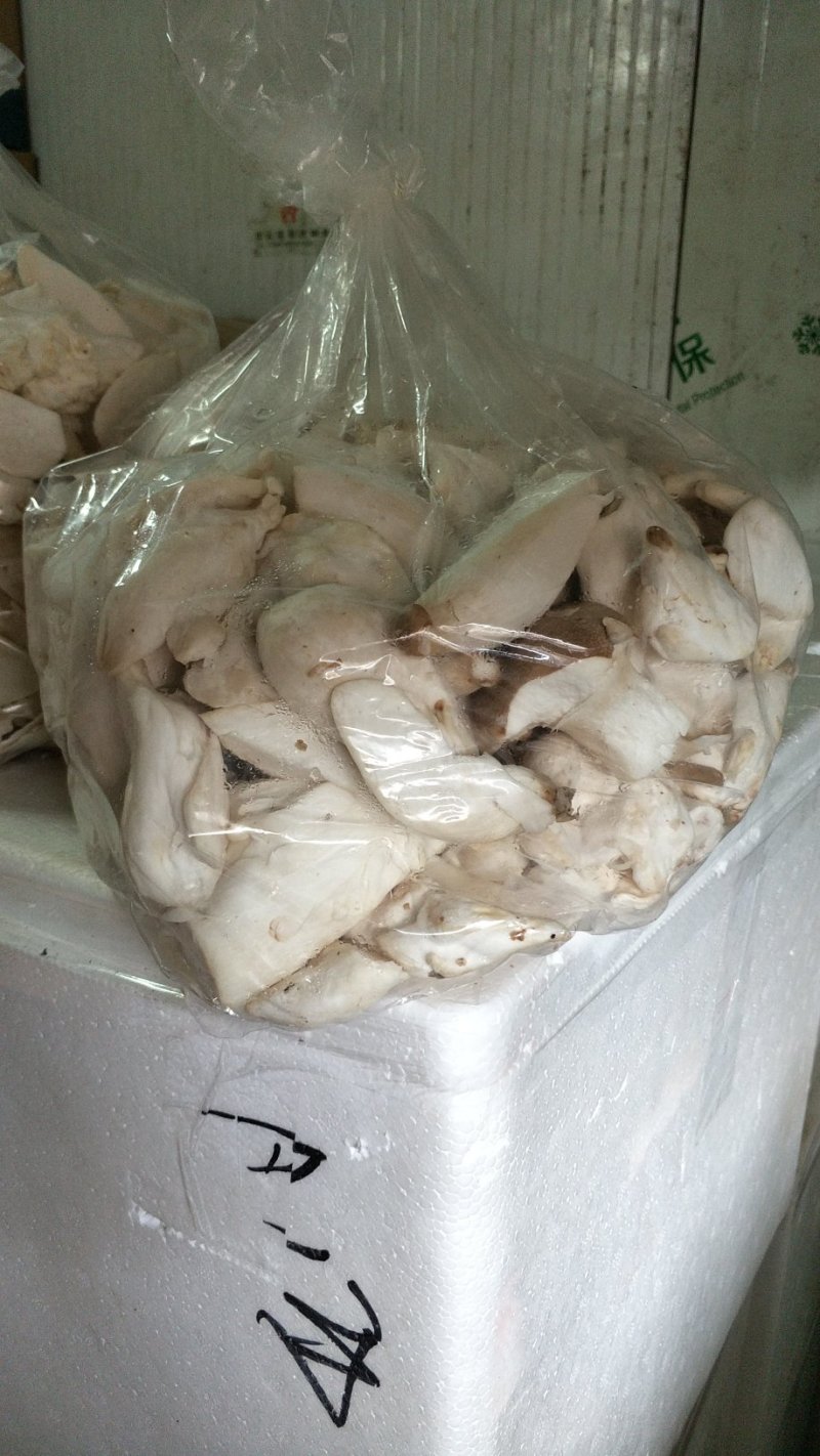 杏鲍菇片和杂菇，工厂化生产直发，常年有货