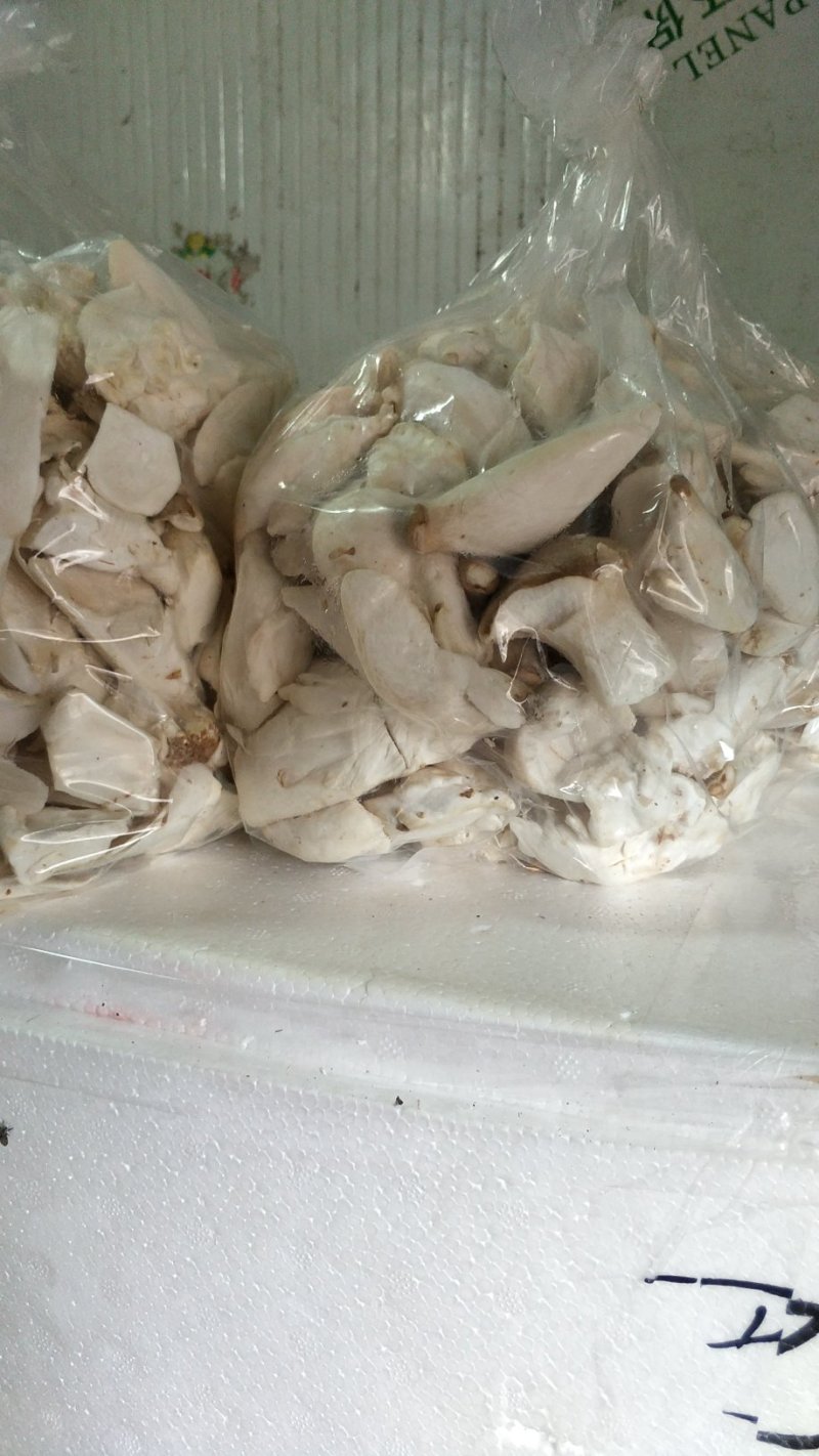杏鲍菇片和杂菇，工厂化生产直发，常年有货