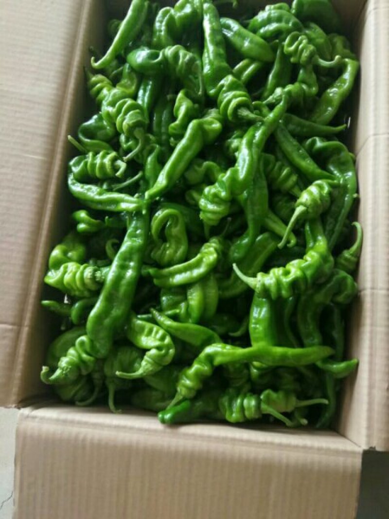 螺丝，线辣，棍棍，红线辣，