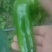螺丝，线辣，棍棍，红线辣，