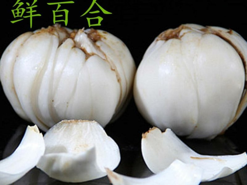 兰州榆中园子正宗黄土百合