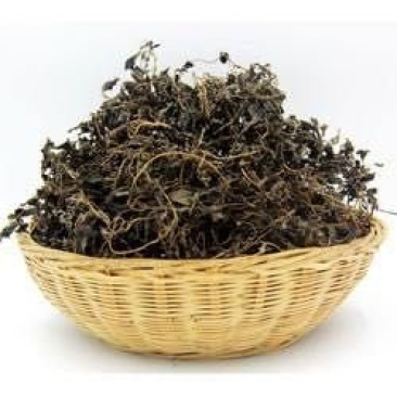 乡间美味干马齿苋野生自然晒干马菜