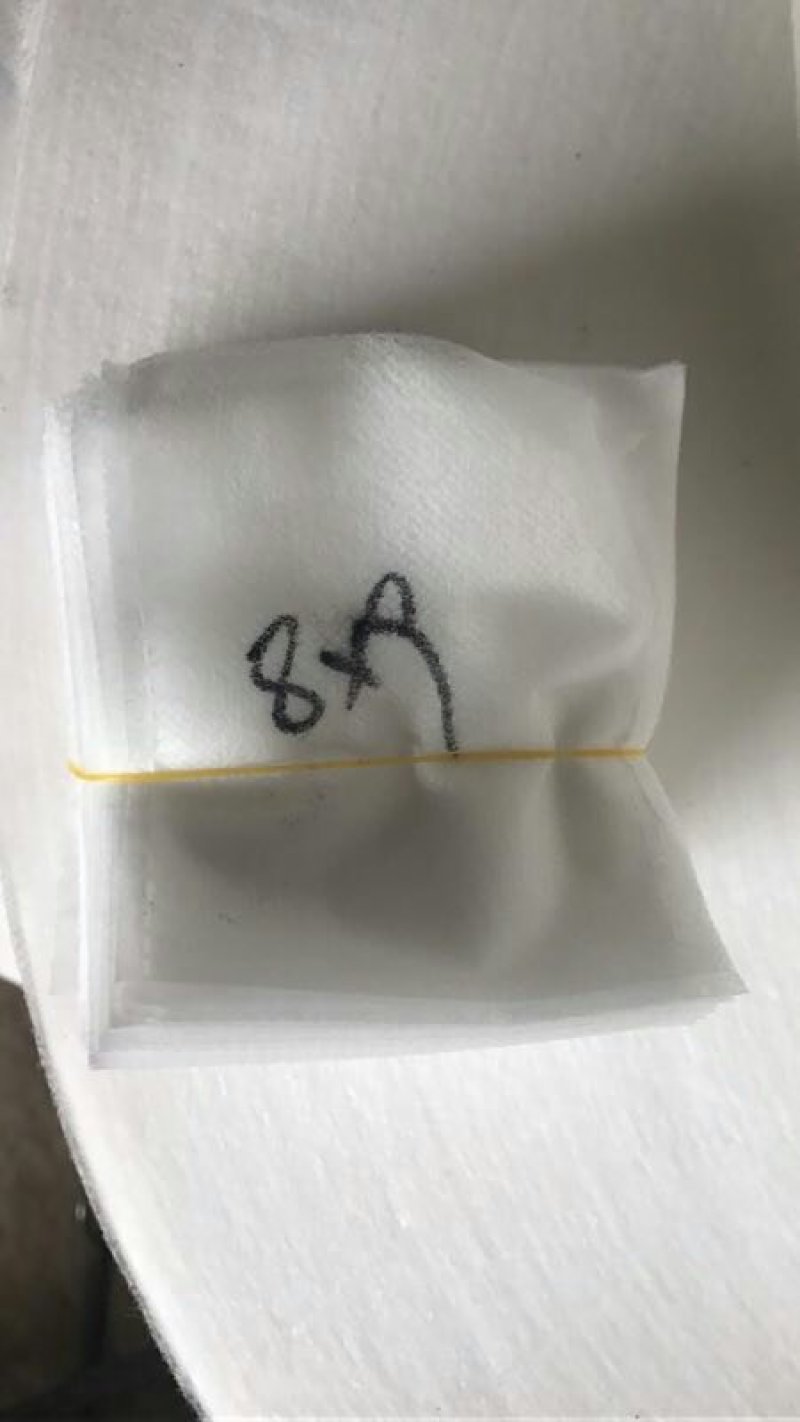 无纺布松树育苗袋8x9
