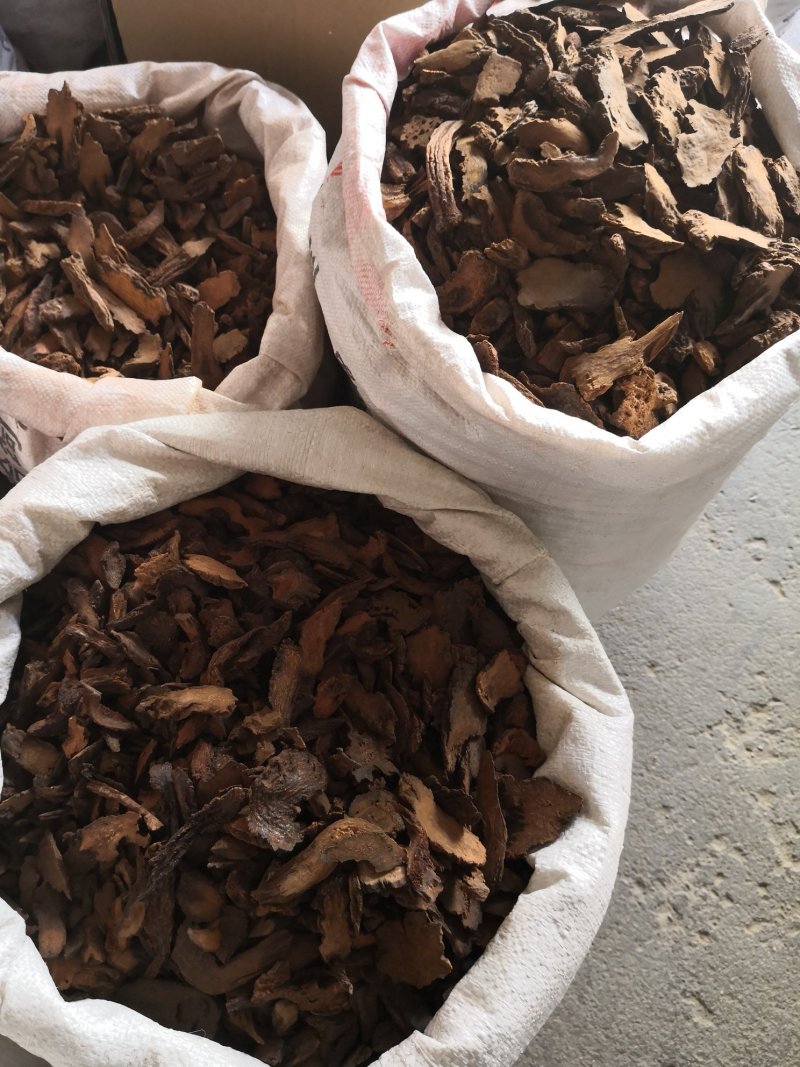 锁阳内蒙干货2斤起包邮量大从优