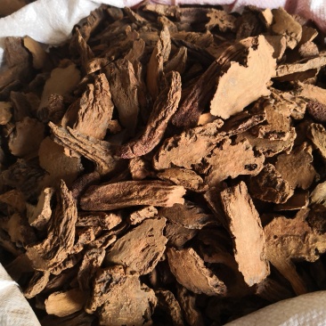 锁阳内蒙干货2斤起包邮量大从优