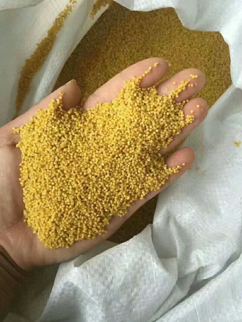 西董小米