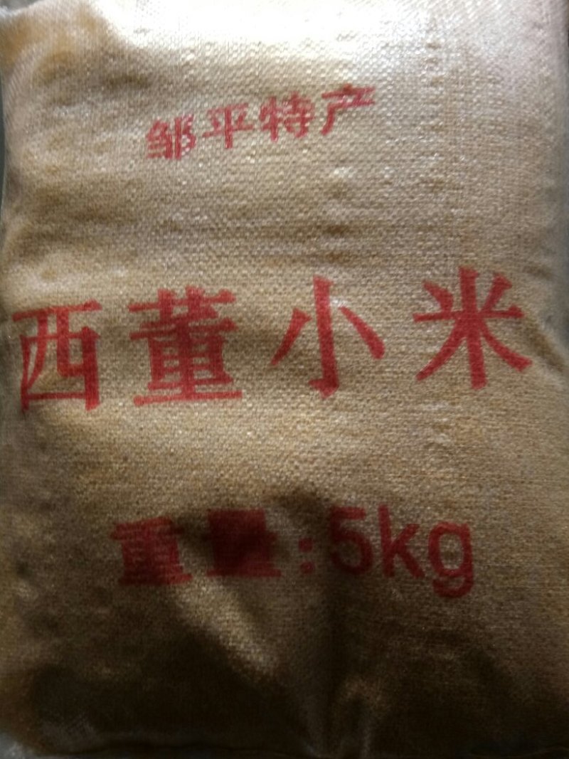 西董小米