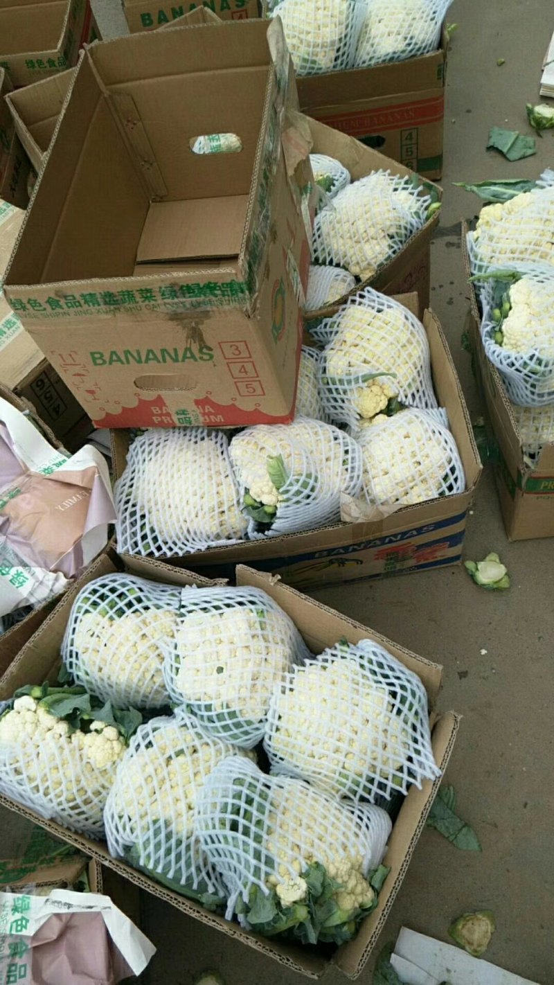 【精品】菜花〔商超品质价格低廉〕代发全国