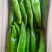 山西大同阳高县鲜辣椒精品辣椒黄皮辣椒