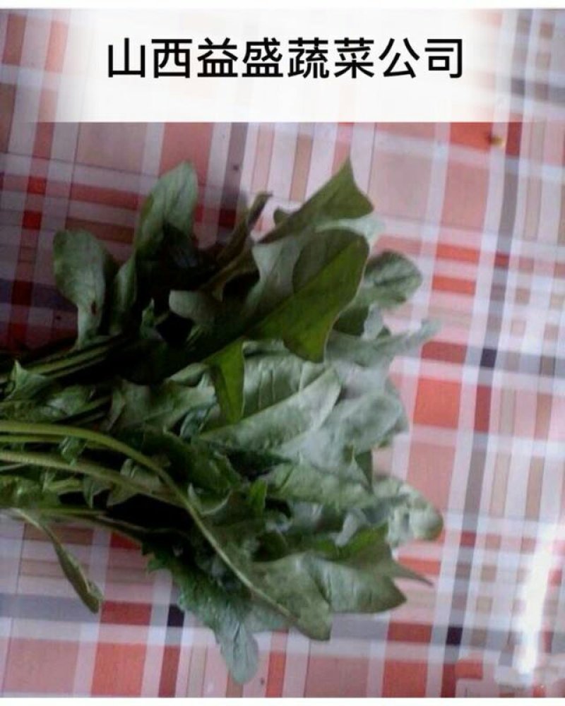 菠菜