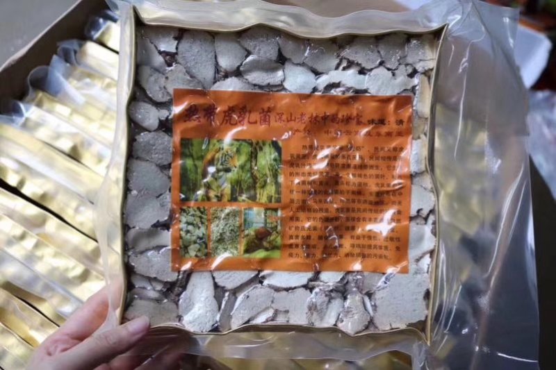 野生虎乳菌