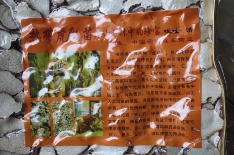野生虎乳菌