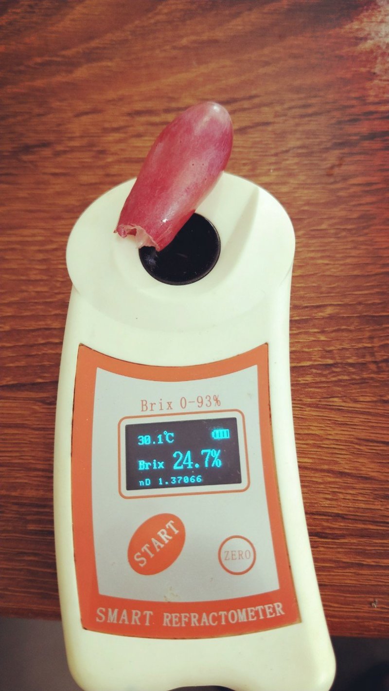 红提
