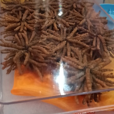 相当实惠