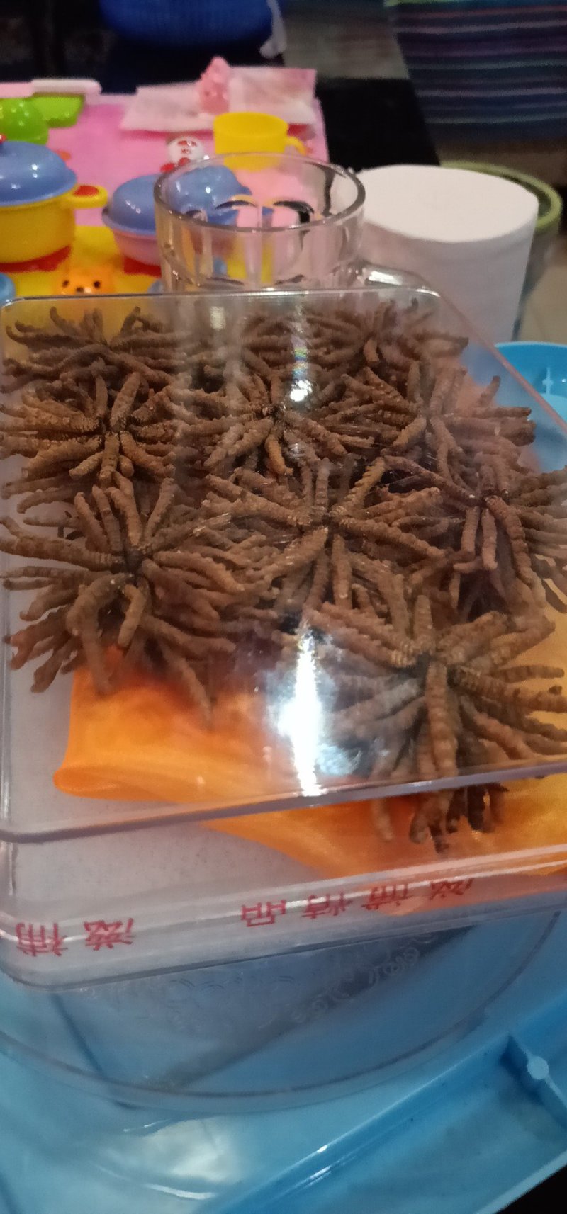 相当实惠