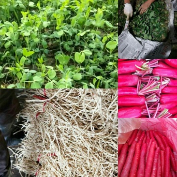 豆尖，儿菜，榨菜，棒菜，红皮萝卜。。。。