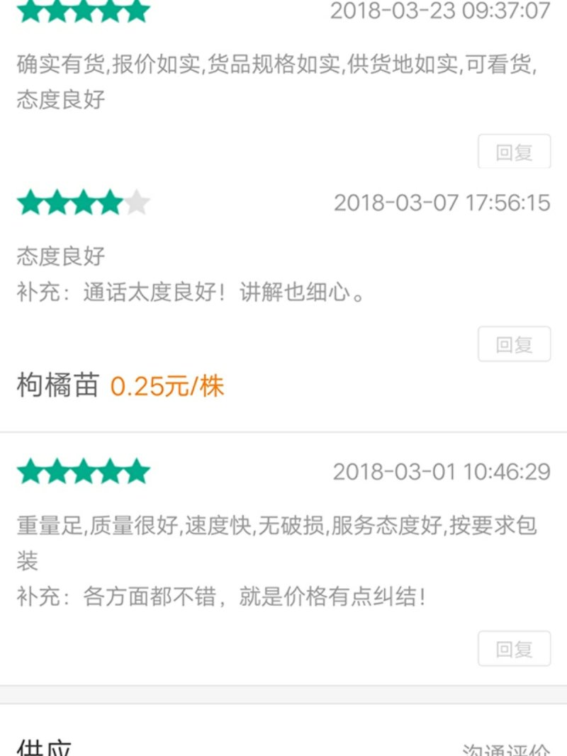 枸橘苗吉壳苗积壳苗构橘苗保证成活率