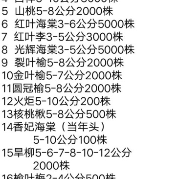 各种苗木，出售各种大小树，大小叶白腊