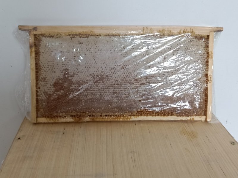 整张荆条花新脾蜂巢蜜