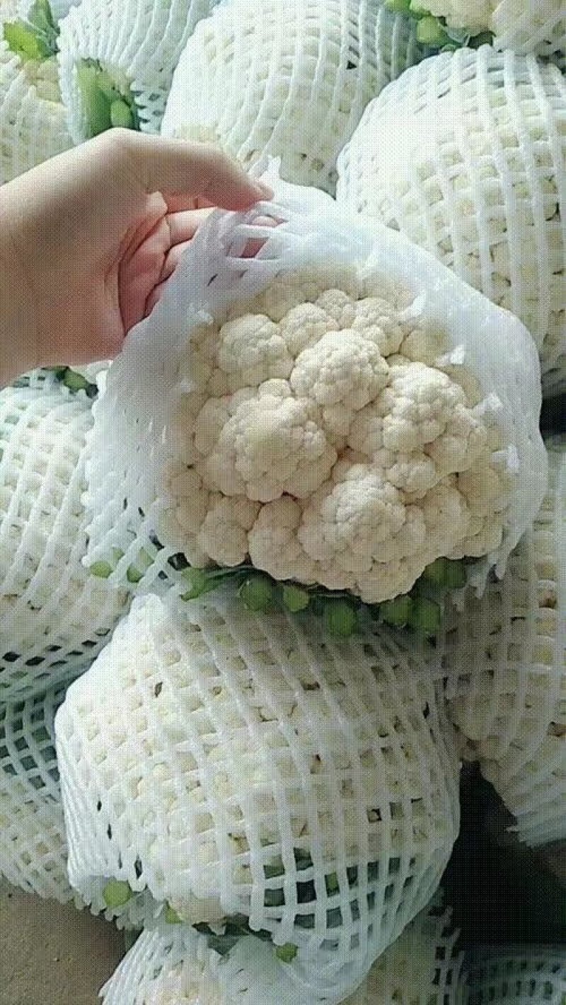 花菜，实花颜色白净，紧实。。。。。。。。