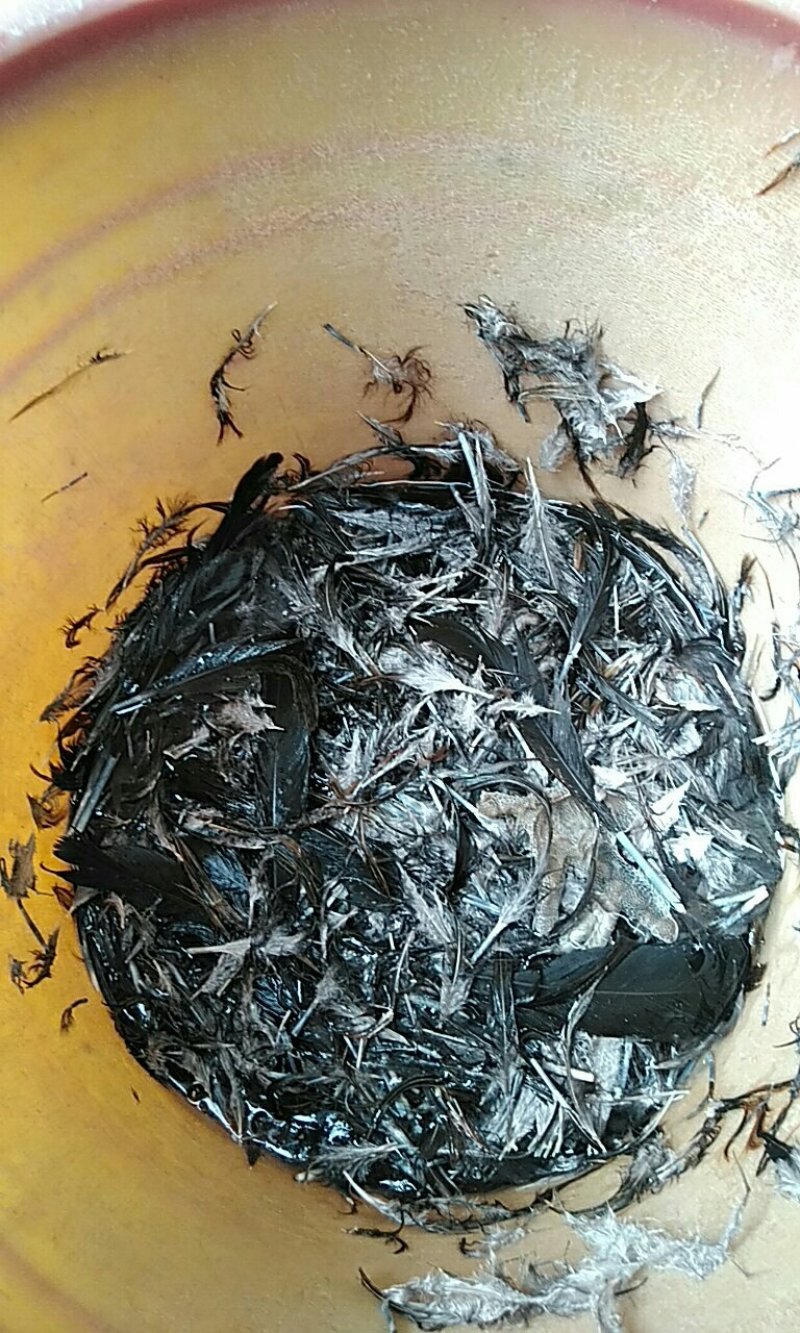鸭毛