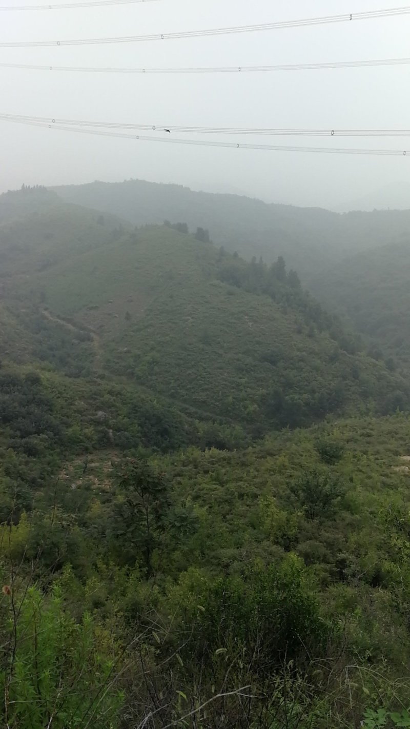 荒山