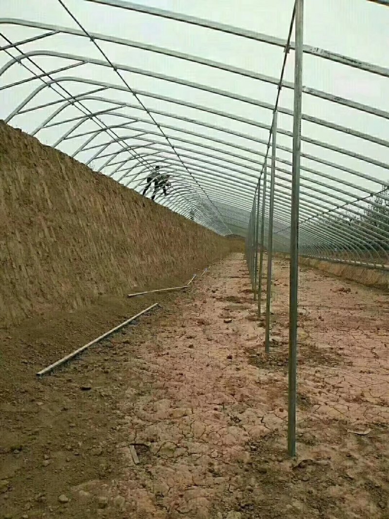 天津花卉大棚养殖大棚种植大棚专业生产规格齐全