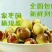 沾化冬枣百果之王脆甜无渣