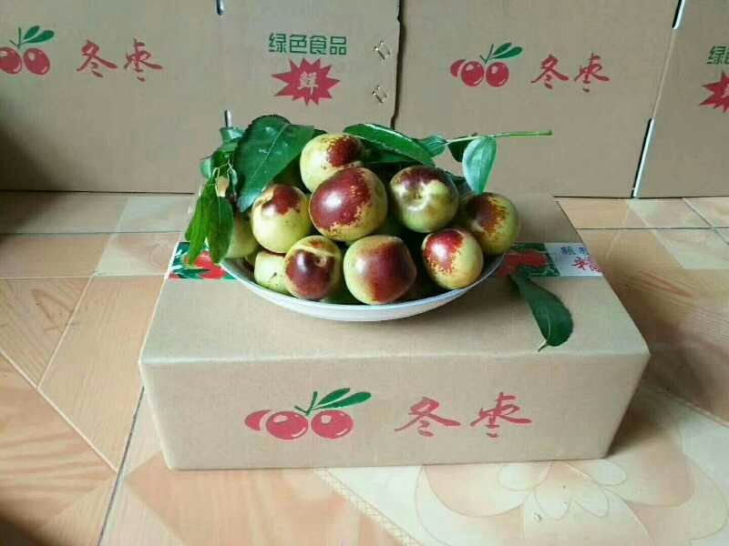 沾化冬枣我家冬枣最好吃😊