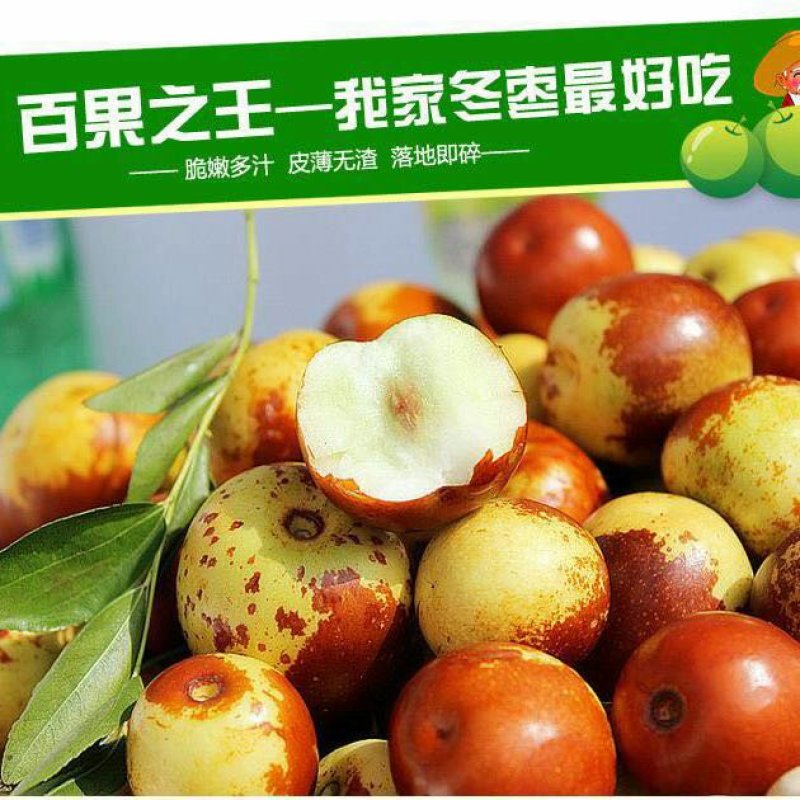沾化冬枣我家冬枣最好吃😊