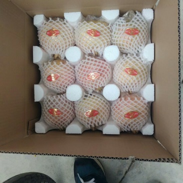 临潼石//9斤12个一箱代发65包邮
