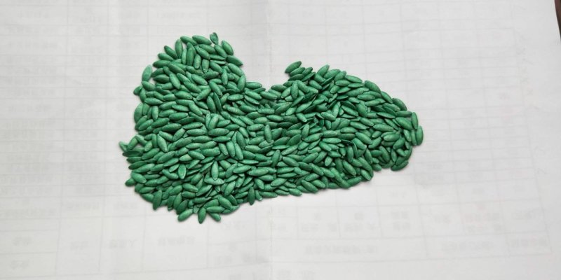 寿光越冬耐寒传奇676强雌油亮型黄瓜种子1000粒/袋
