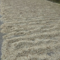 葫芦