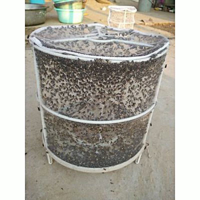 厂家直销高效捕蝇器苍蝇诱捕器环保捕蝇神器苍蝇笼