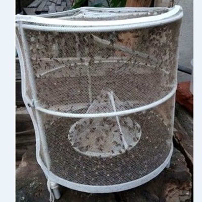 厂家直销高效捕蝇器苍蝇诱捕器环保捕蝇神器苍蝇笼