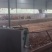 养殖基地转让