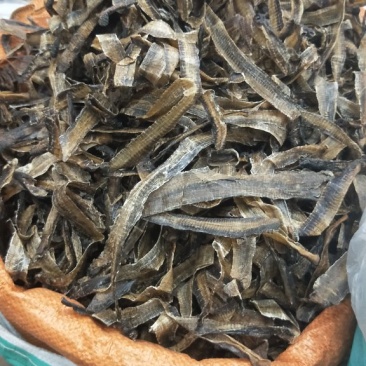 地龙,沪地龙,广地龙,全开无泥