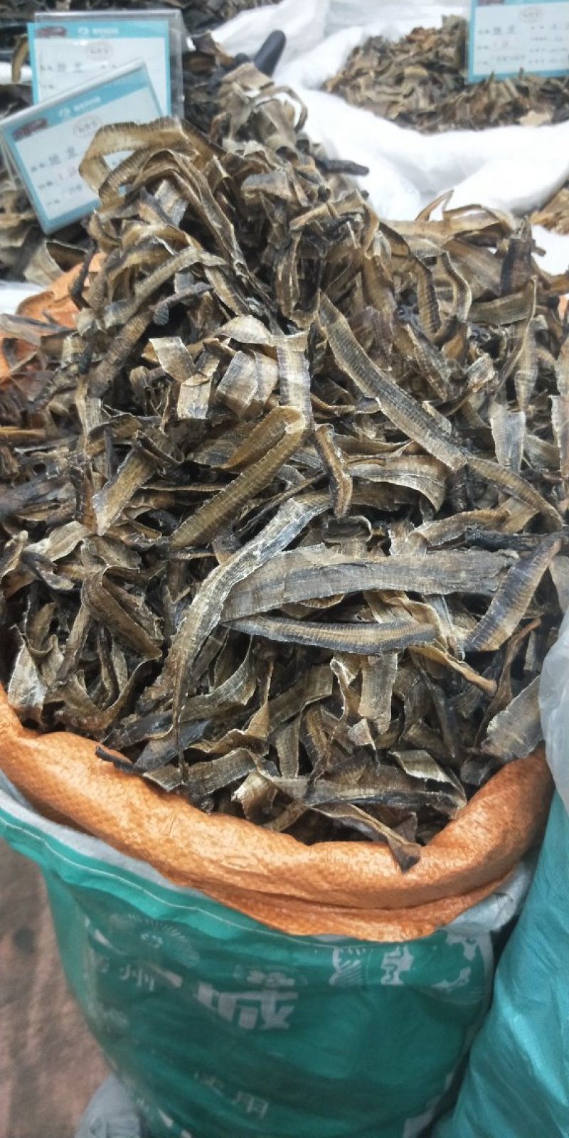 地龙，沪地龙，广地龙，全开无泥