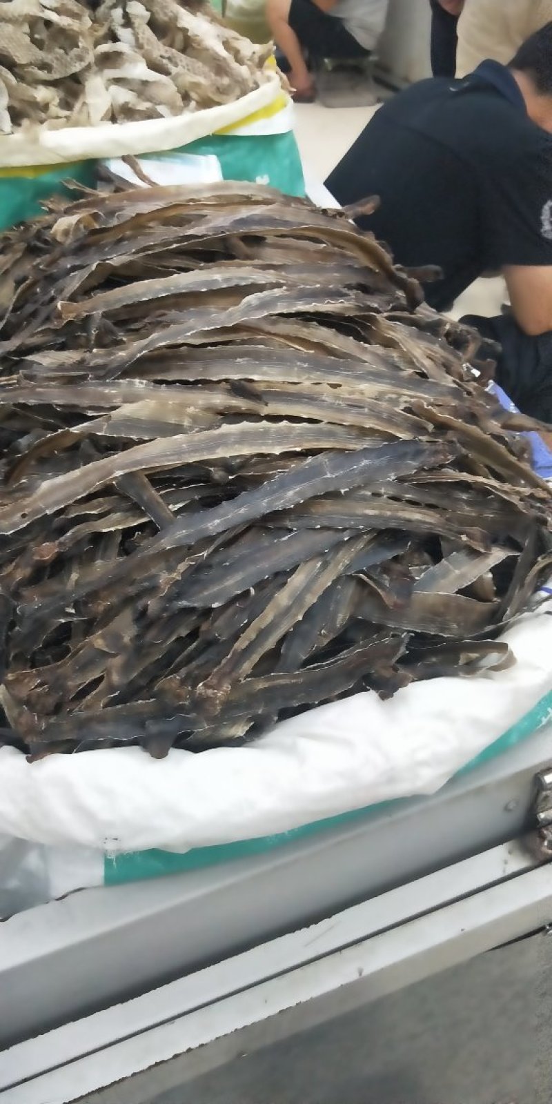 地龙，沪地龙，广地龙，全开无泥