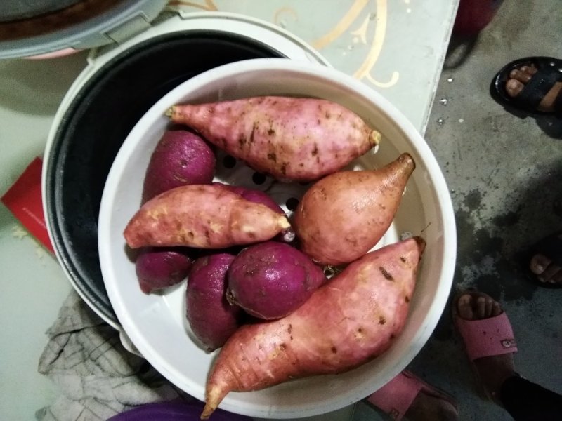 烟薯25