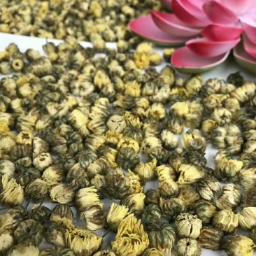 杭胎菊100克30块钱包邮