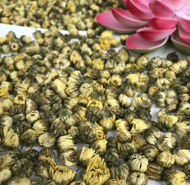 杭胎菊100克30块钱包邮