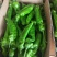 临沂费县优质301尖椒大量上市诚信经营量大从优欢迎