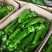 临沂费县优质301尖椒大量上市诚信经营量大从优欢迎