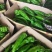 临沂费县优质301尖椒大量上市诚信经营量大从优欢迎