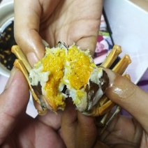 阳澄湖大闸蟹