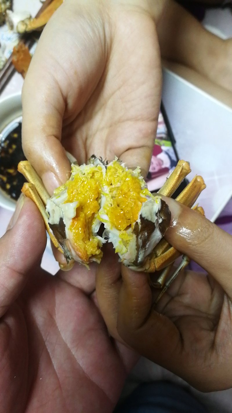 阳澄湖大闸蟹