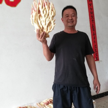 生姜红芽白肉，量大质优