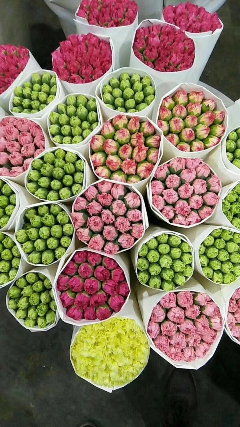 康乃馨，各类玫瑰，配花